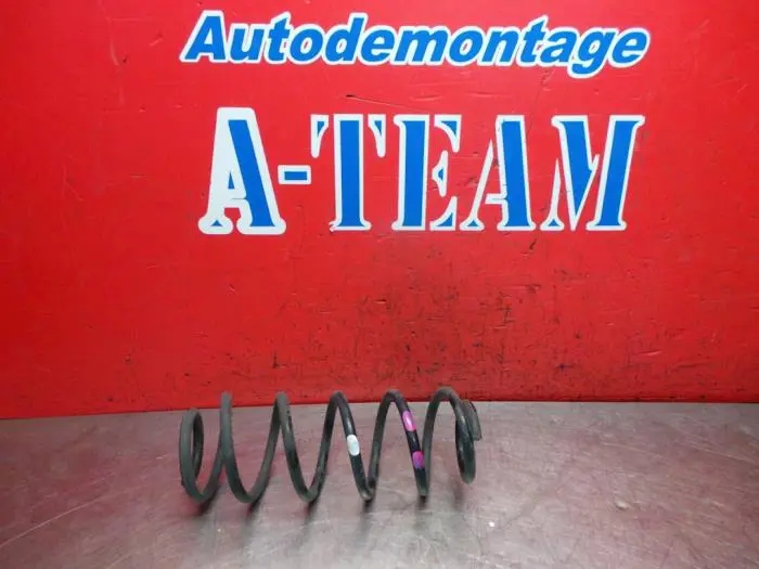 Rear torsion spring Suzuki Swift