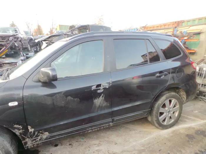 Door window 4-door, front left Hyundai Santafe