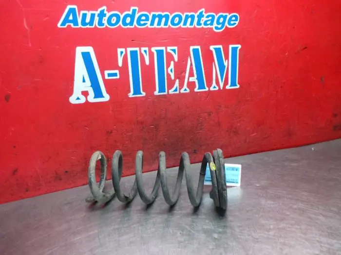 Rear torsion spring Opel Antara