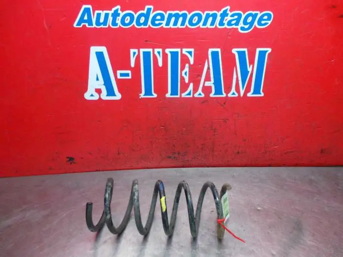 Rear torsion spring Fiat Panda