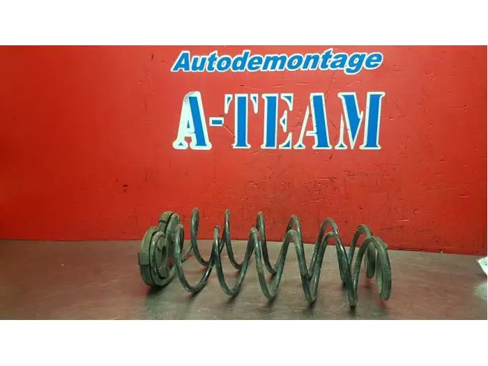 Rear torsion spring Renault Laguna