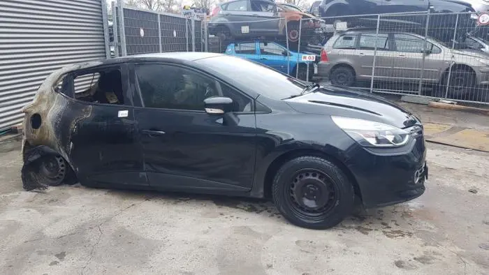 Portier 4Deurs rechts-voor Renault Clio