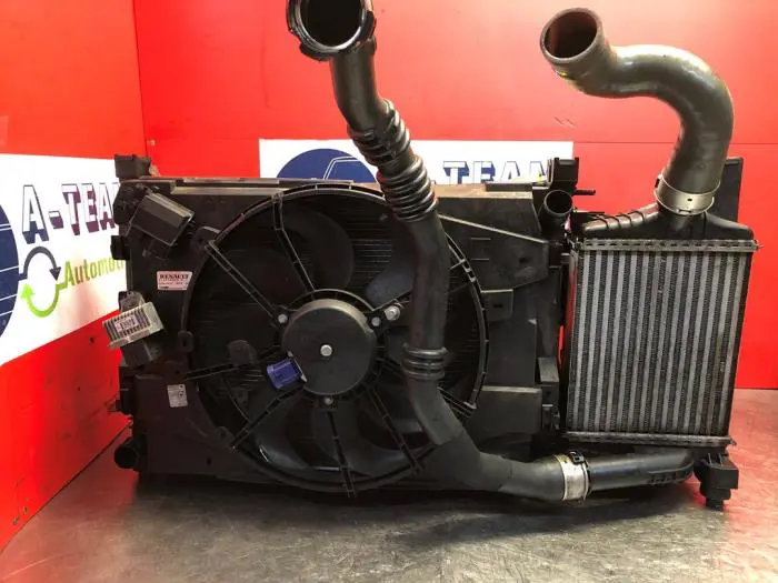 Cooling set Renault Clio