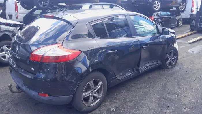 Door window 4-door, front right Renault Megane