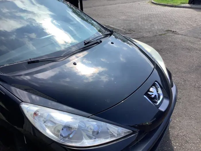 Bonnet Peugeot 207