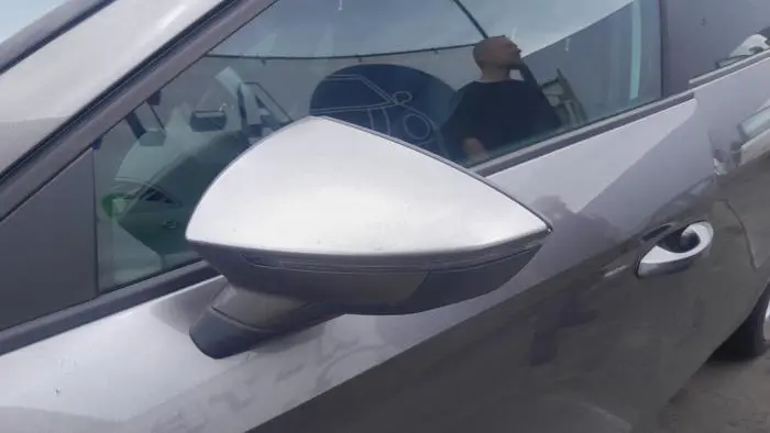 Wing mirror, left Seat Leon