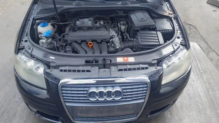 Throttle body Audi A3