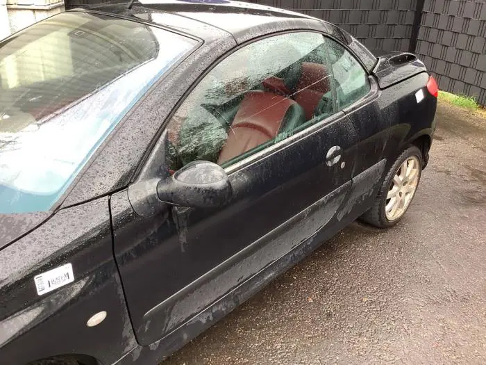 Door 2-door, left Peugeot 206