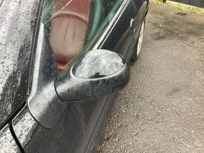 Wing mirror, left Peugeot 206