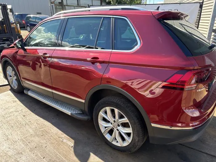 Rear door 4-door, left Volkswagen Tiguan