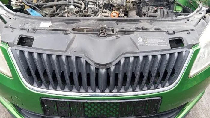 Grille Skoda Fabia