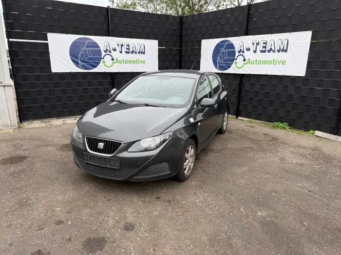 Door window 4-door, front right Seat Ibiza