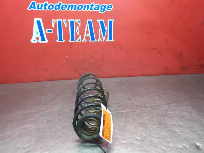 Rear torsion spring Renault Laguna